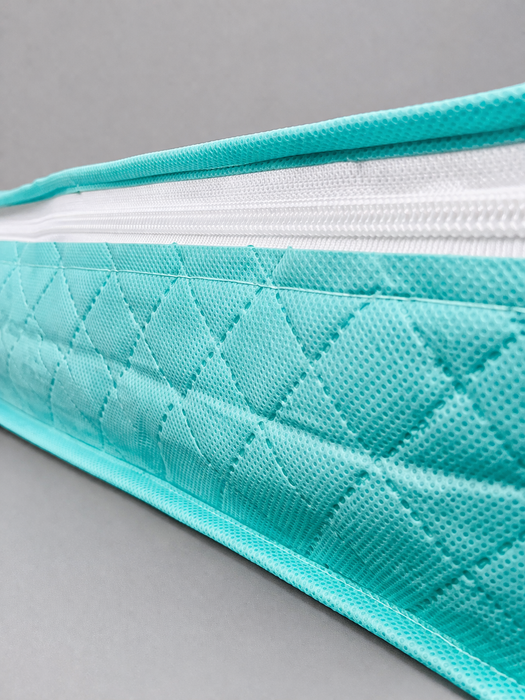 Green Saree Organizer with Transparent Cover | Non Woven Storage Bag with Zip Closure